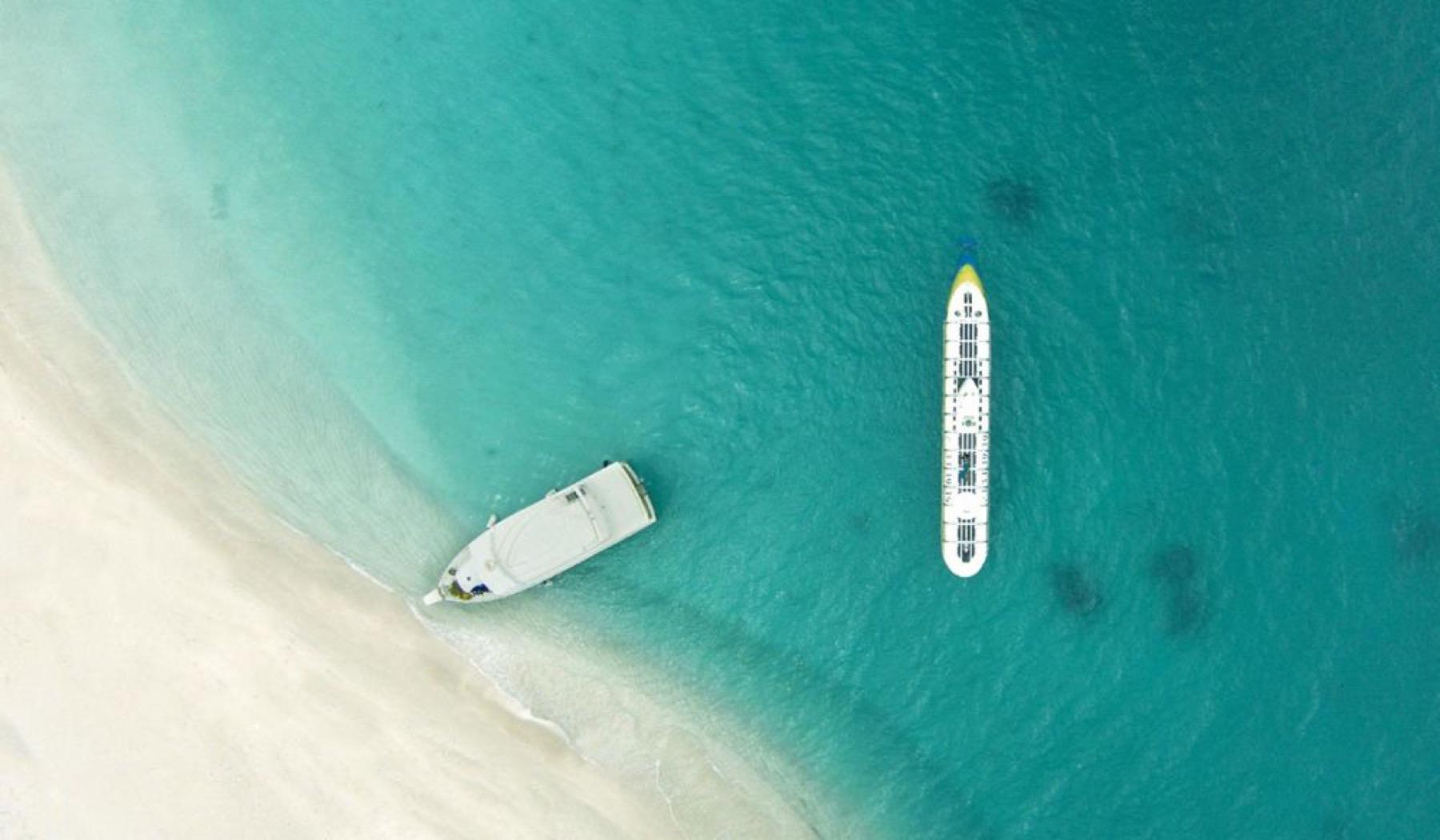 Whale Submarine Dive