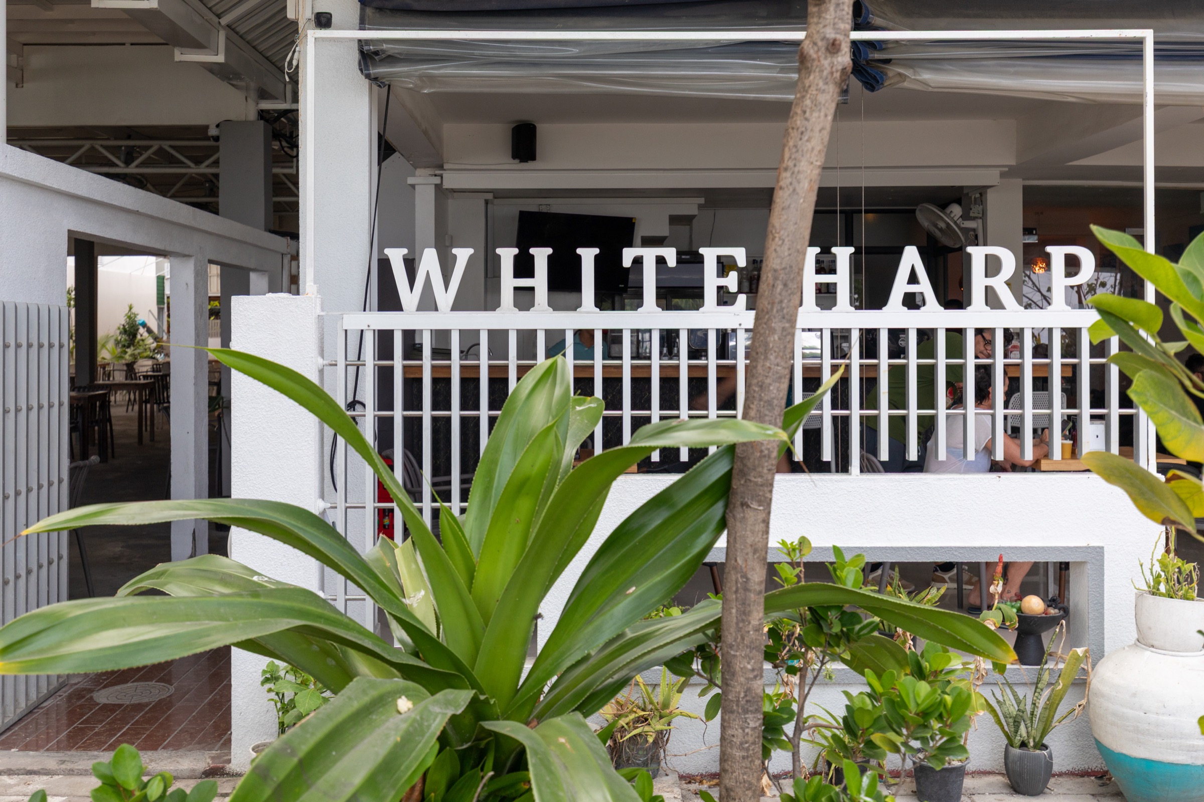 Harp Inn The White Harp Inn — A Boutique Beach Hotel in the Maldives